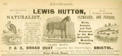 lewishuttonadvert[1].JPG